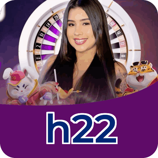 Interface h22